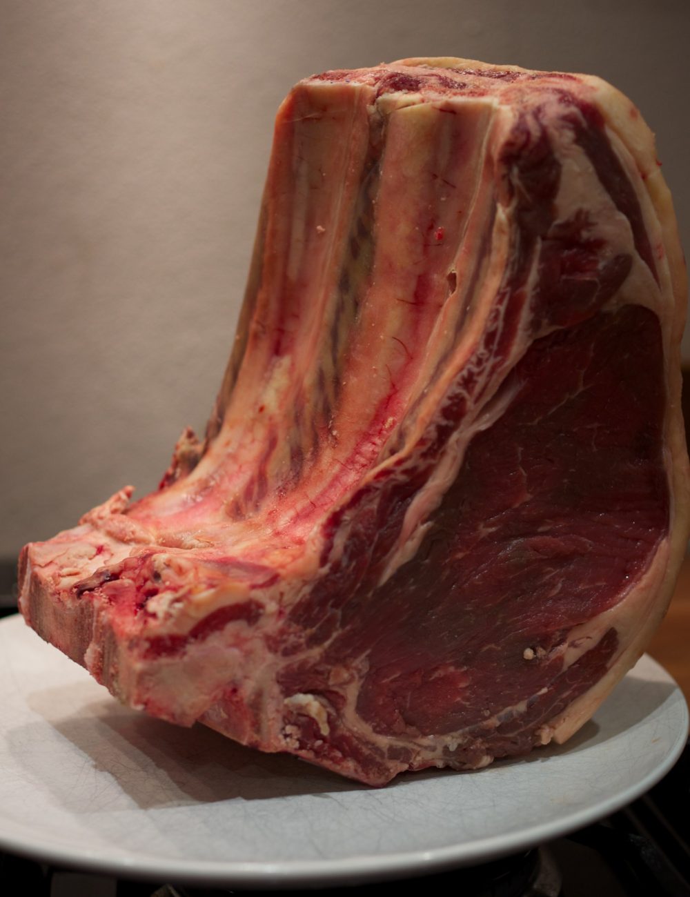 Wing Rib 1000 1300